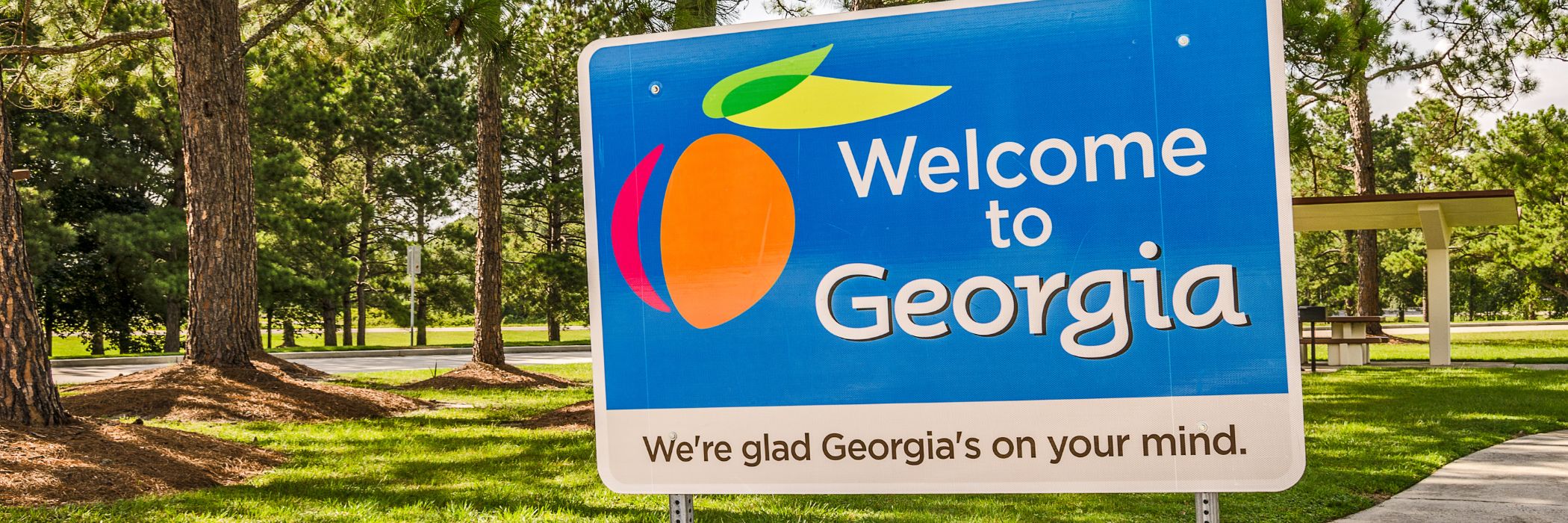 Georgia — local EMS imagery
